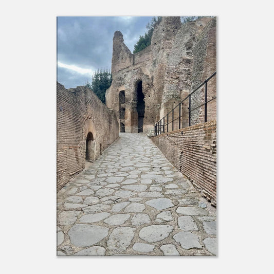 e19c963b-4346-415a-b3b1-d97daa8ed297