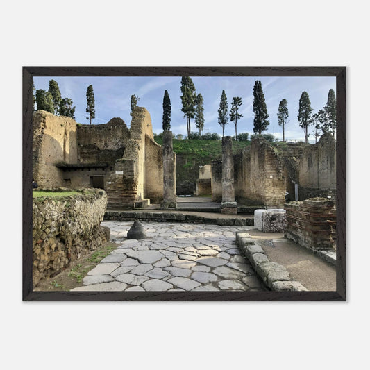 e5661a9b-b77f-46b5-9477-591917d055f1