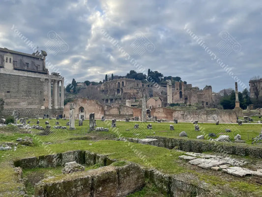 The Forum Romanum from the Basilica Aemilia Rome History Photography